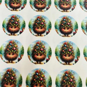 Kultapallerotarra ruskea